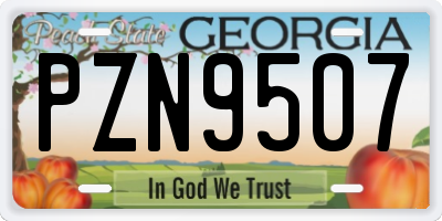 GA license plate PZN9507
