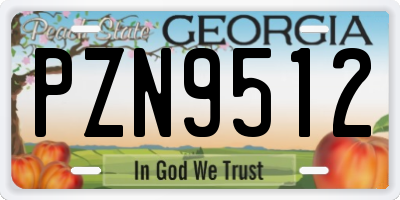 GA license plate PZN9512