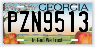 GA license plate PZN9513