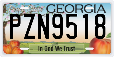 GA license plate PZN9518