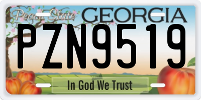 GA license plate PZN9519