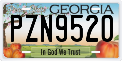 GA license plate PZN9520