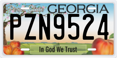 GA license plate PZN9524