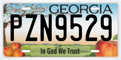 GA license plate PZN9529