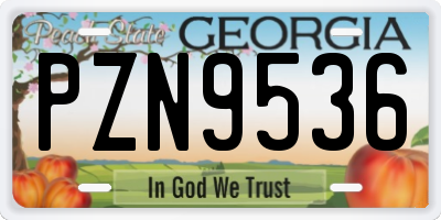 GA license plate PZN9536