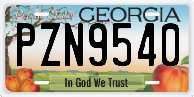 GA license plate PZN9540