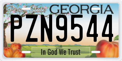 GA license plate PZN9544