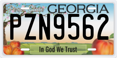 GA license plate PZN9562