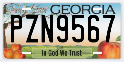 GA license plate PZN9567