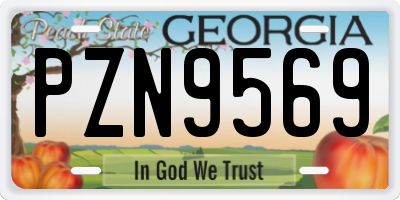 GA license plate PZN9569