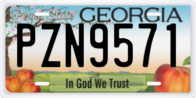 GA license plate PZN9571