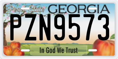 GA license plate PZN9573