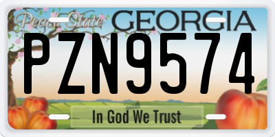 GA license plate PZN9574