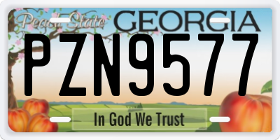 GA license plate PZN9577