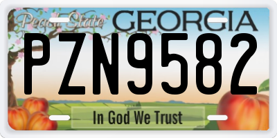 GA license plate PZN9582