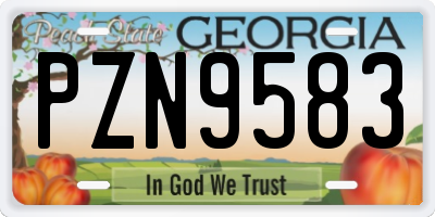 GA license plate PZN9583
