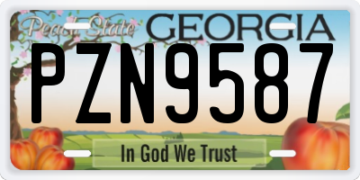 GA license plate PZN9587