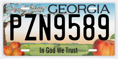 GA license plate PZN9589