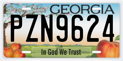 GA license plate PZN9624