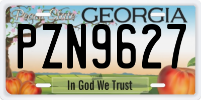 GA license plate PZN9627