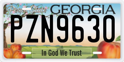 GA license plate PZN9630