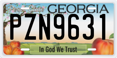 GA license plate PZN9631