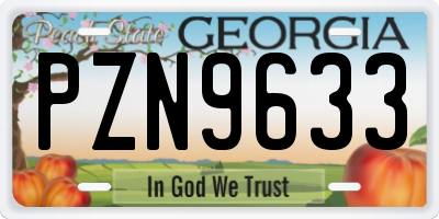 GA license plate PZN9633