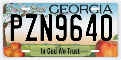 GA license plate PZN9640