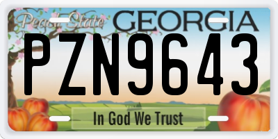 GA license plate PZN9643