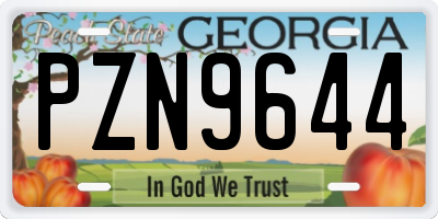GA license plate PZN9644