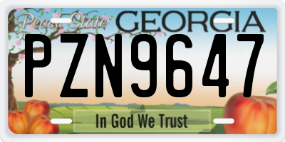 GA license plate PZN9647