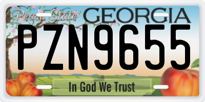 GA license plate PZN9655