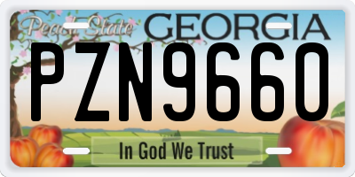 GA license plate PZN9660