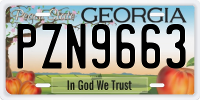 GA license plate PZN9663