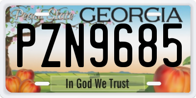 GA license plate PZN9685