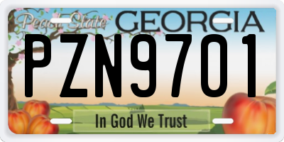 GA license plate PZN9701