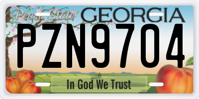 GA license plate PZN9704
