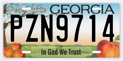 GA license plate PZN9714