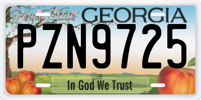 GA license plate PZN9725