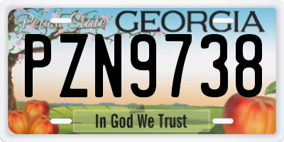 GA license plate PZN9738
