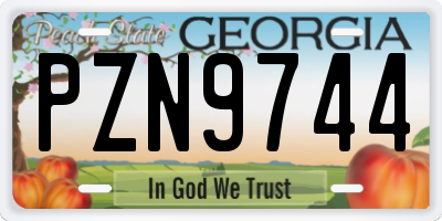 GA license plate PZN9744