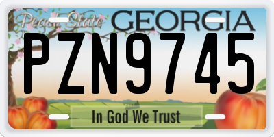 GA license plate PZN9745