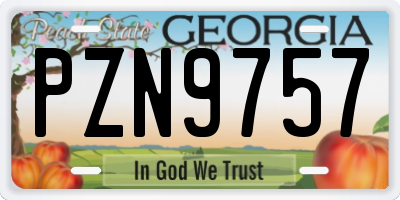 GA license plate PZN9757