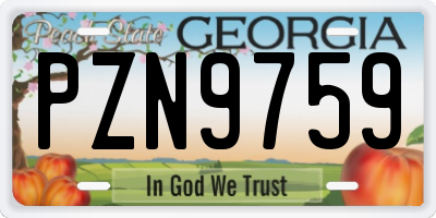 GA license plate PZN9759