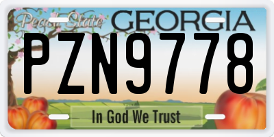GA license plate PZN9778