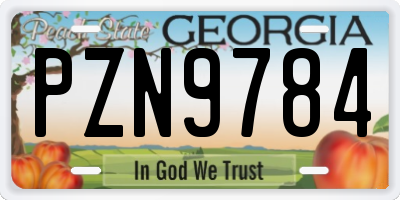GA license plate PZN9784