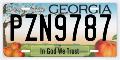 GA license plate PZN9787