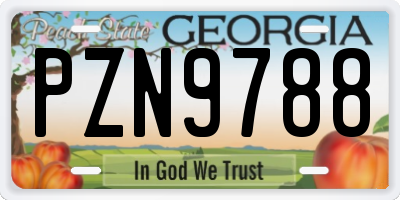 GA license plate PZN9788