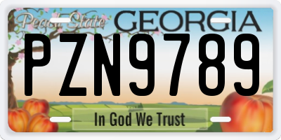 GA license plate PZN9789