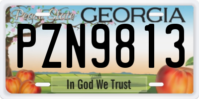 GA license plate PZN9813